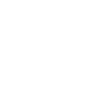 0. Government and Not-For-Profit - Section Marker