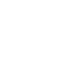 Anteryon