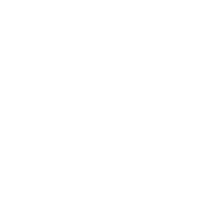 Bureau_Veritas