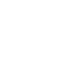 China-Southern