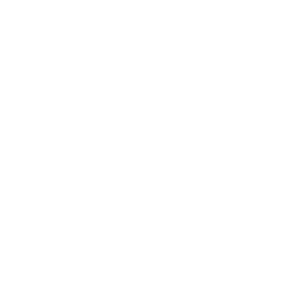 DSM