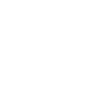 Damen-Shipyards