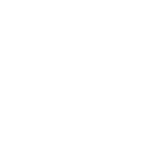 Leaseplan