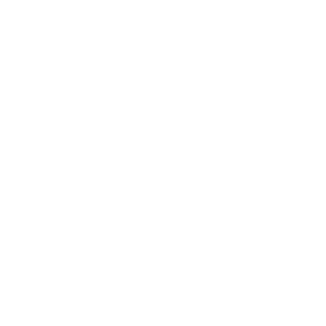 MAPI-Consulting