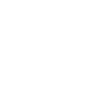 Nationale-Nederlanden