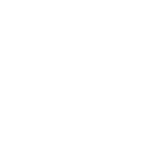 Steltix