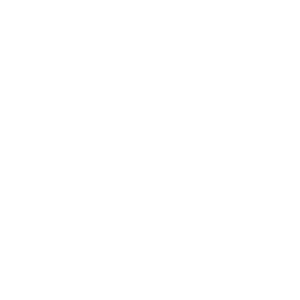 Trifleet-Leasing