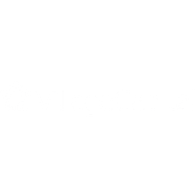 VillageCapital