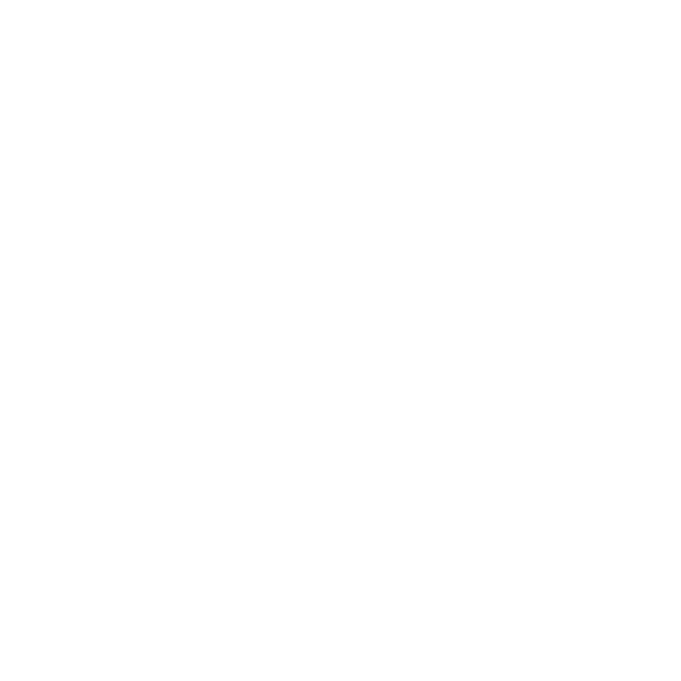 WBSCodingSchoolWhiteLogo_TransparentBG