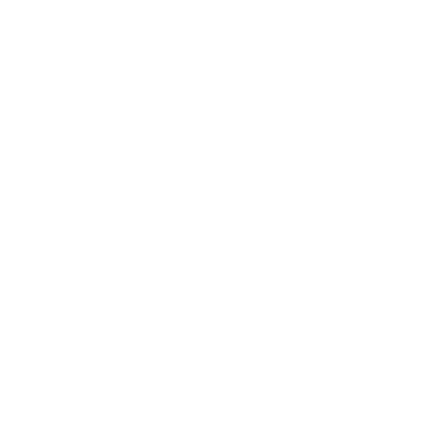 WildCodeSchool_WhiteLogo_TransparentBG