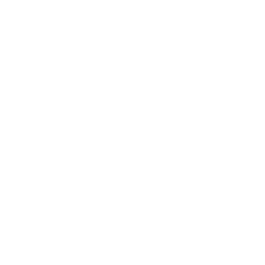 Wilde-Ganzen-1