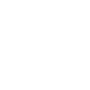 viveo